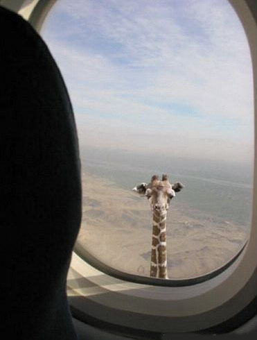 Entering Africa...